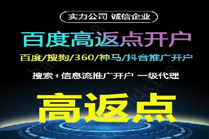SEM托管实战：某电商平台的成功经验